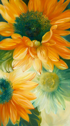 <i>The Shine</i> by Jeanne Bonine