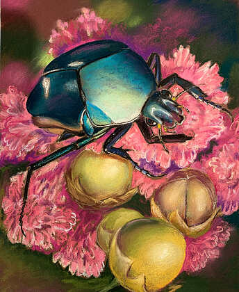 <i>Scarab</i> by Joanne Agostinelli