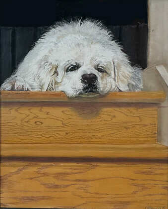 Heddy Who Knows You Are Leaving Without Her by Marcia Blanco