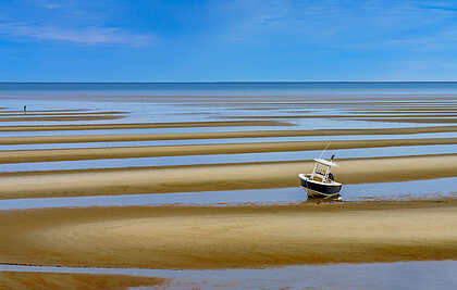 Al Goldstein Award for Landscape, Lines in the Sand by Jessica Margo