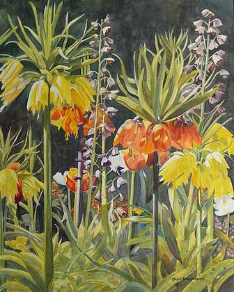 Award of Merit, Nature's Royalty by Michele Tabor Kimbrough